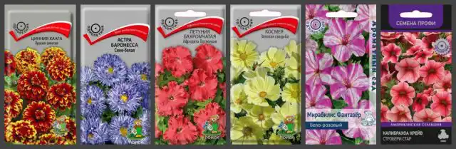 В ассортименте агрохолдинга «ПОИСК» представлено более 1500 наименований садовых цветов