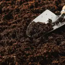 Торфяная почва