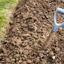 Глинистая почва