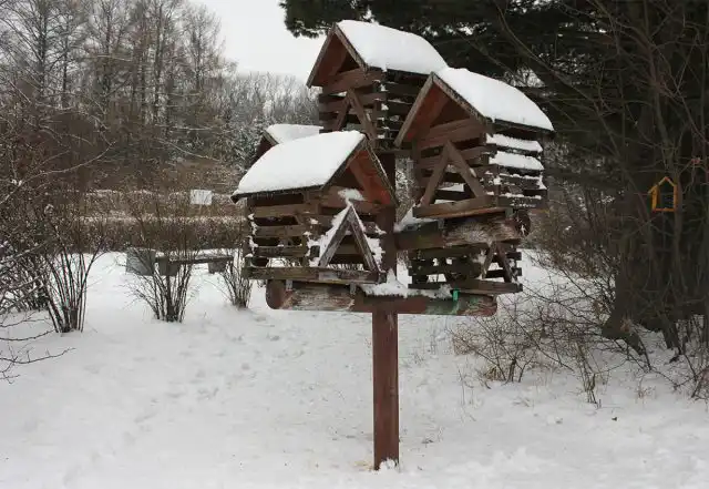 Обязательно развесьте зимой в саду кормушки для птиц, но помните, что не всякая еда подходит для пернатых.