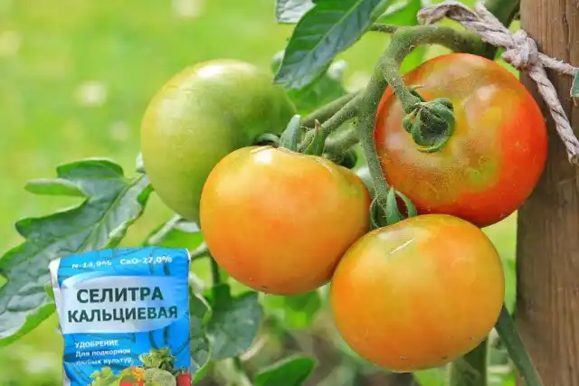 Навіщо потрібна кальцієва