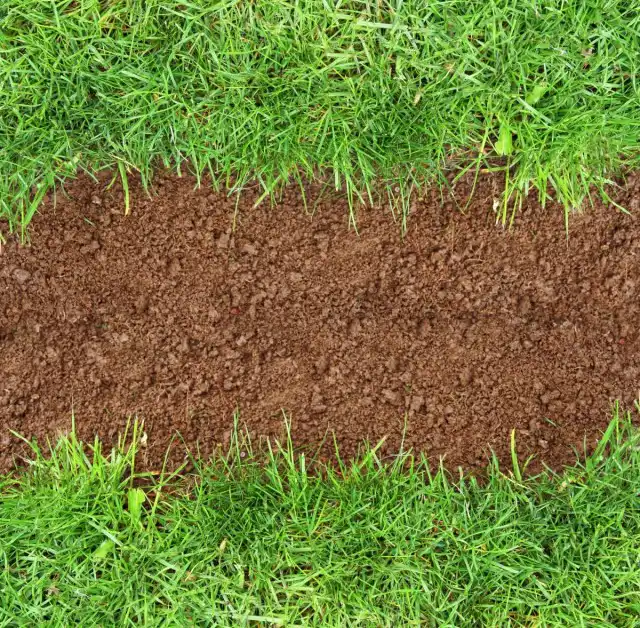 Воспользовавшись средством «Деймос + Миура», вы избавитесь от сорняков без особого труда