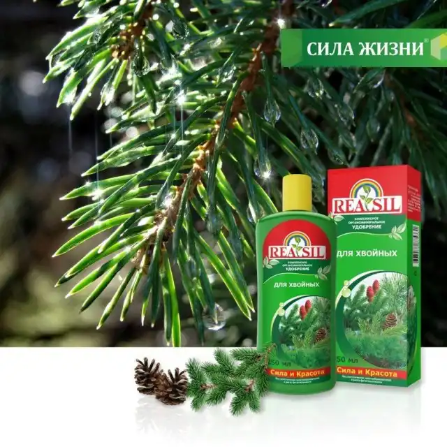 Комплексное органоминеральное удобрение «Reasil® » для хвойных