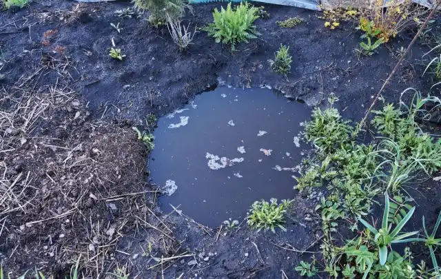 Эта глубокая яма метр в диаметре и глубиной около метра помогла спасти от гибели растения в миксбордере