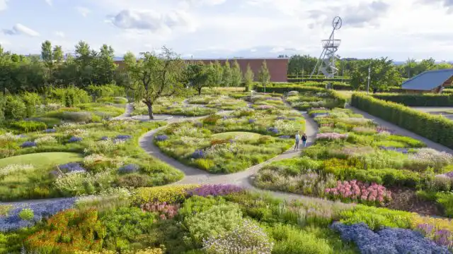 Блочная посадка подразумевает высадку растений большими группами, которые повторяются по всей площади цветника.