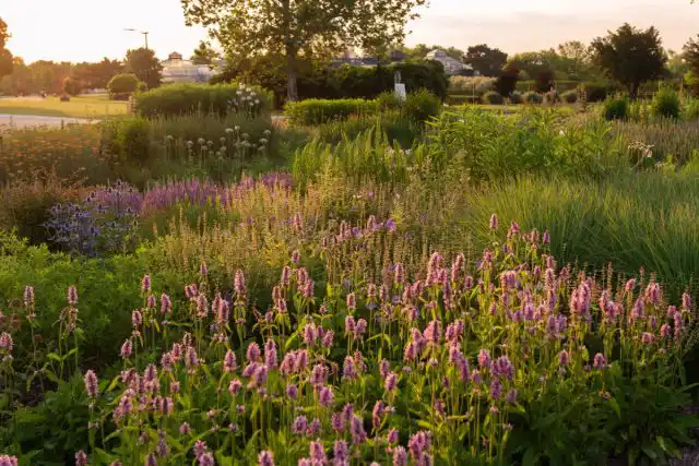 За счет использования разных по высоте растений можно моделировать рельеф без геопластики.