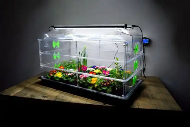 Пропагатор с лампами освещения Vitopod 100 Вт