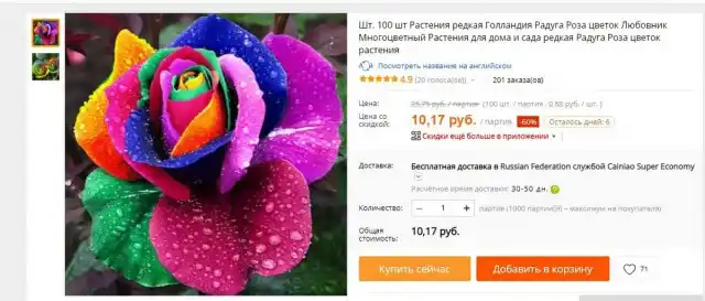 Что смешнее - подобная расцветка розы или семена розы?