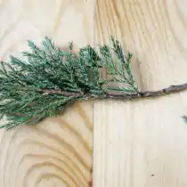 Следующая операция – очищаем от хвои нижнюю часть заготовки примерно на 2 см