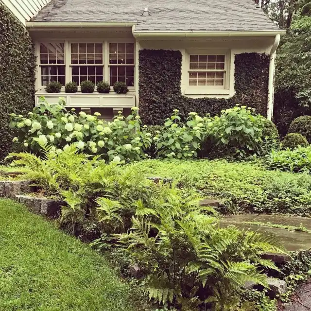 «Дождевые» цветники не дают затопляться дорожкам и площадкам