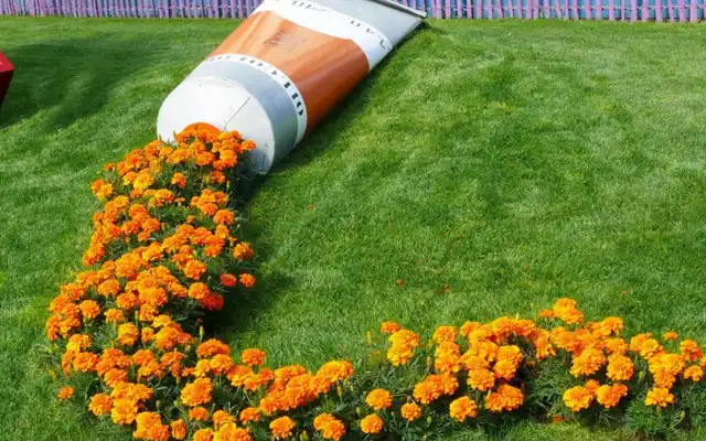 Моноцветник из однолетников может иметь оригинальную форму и замысел