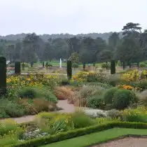 Лето и осень - пик декоративности цветников Садов Трентэм