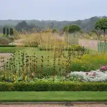 Декоративные травы подчеркивают строгость самшитовых бордюров в итальянском саду