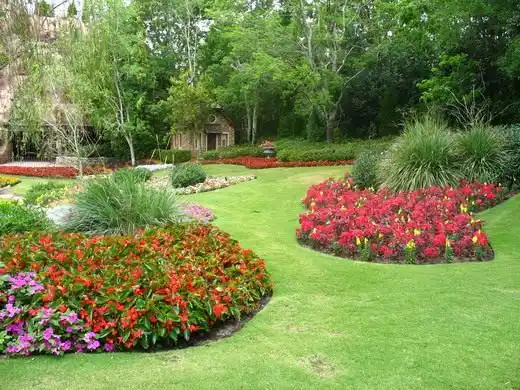 Компактная форма ежеголовника (Sparganium emersum)