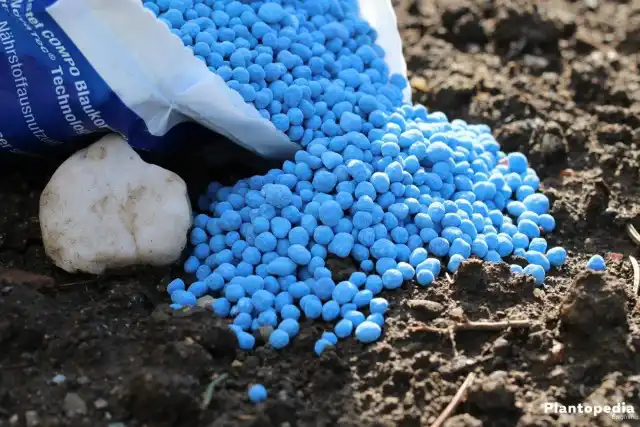 Комплекс микроудобрений