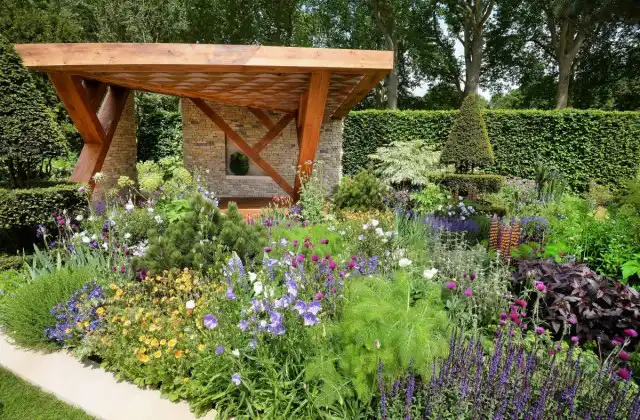 Зеленая палитра садовых растений в сочетании с модным в сезоне 2018 года фиолетовым цветом