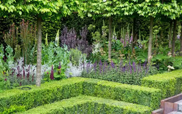 Цветник в фиолетовой палитре. Модный цвет в сезоне 2018 года