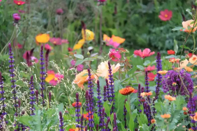 Модная цветовая палитра цветников в сезоне 2018