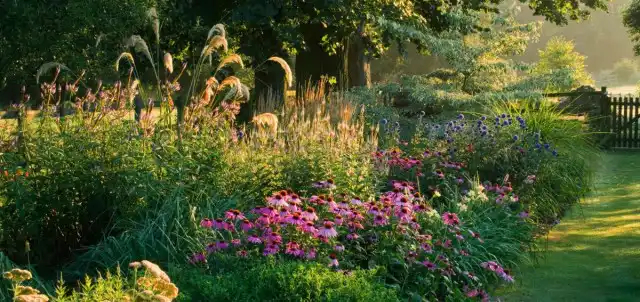 Пейзажный цветник