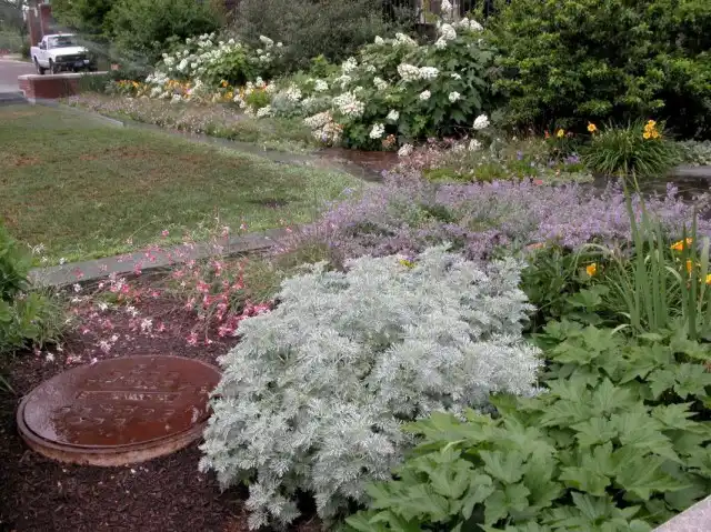 Цветник на участке с засоленной почвой