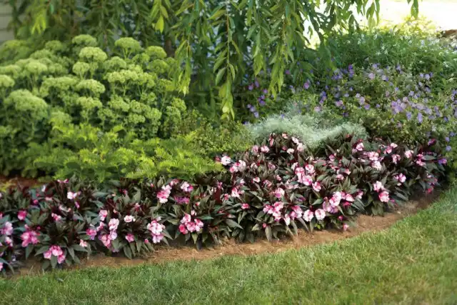 Цветник из декоративных растений с разным периодом цветения