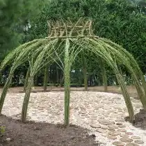 Беседка из живых ив