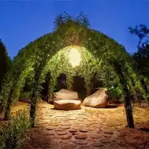 Беседка из живых ив в вечернее время