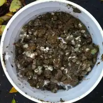 Куриный помёт