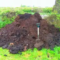 Навоз коровий