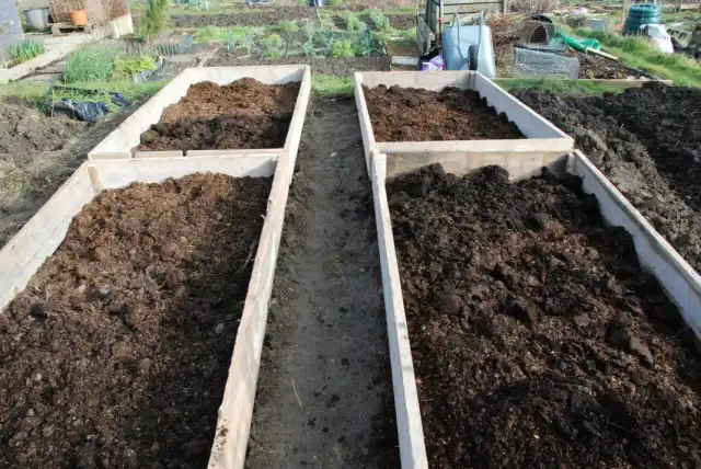 Внесение навоза в грядки