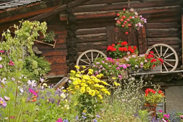 10 основних елементів