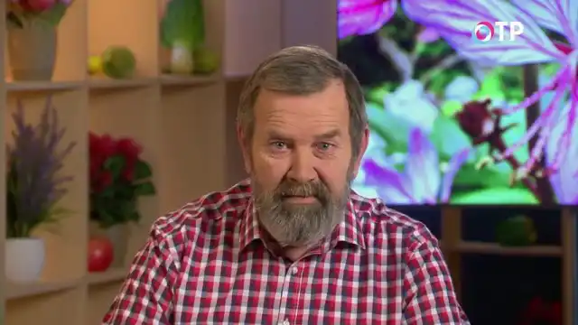 Підготовка насіння до сівби –