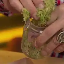 Сверху мешочек с семенами прикрываем мхом