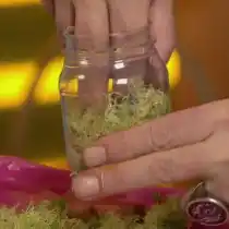 На дно банки выкладываем мох