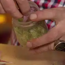 На мох выкладываем смоченный капроновый мешочек с семенами