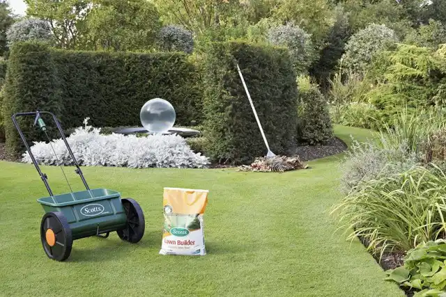 Осенью газон необходимо подготовить к зиме