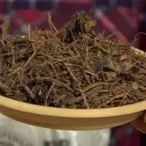 Хвойный опад