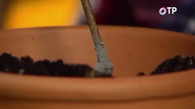 Вставляем черенок в субстрат наискосок