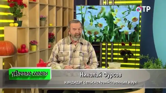 Зимове розмноження цибулинних