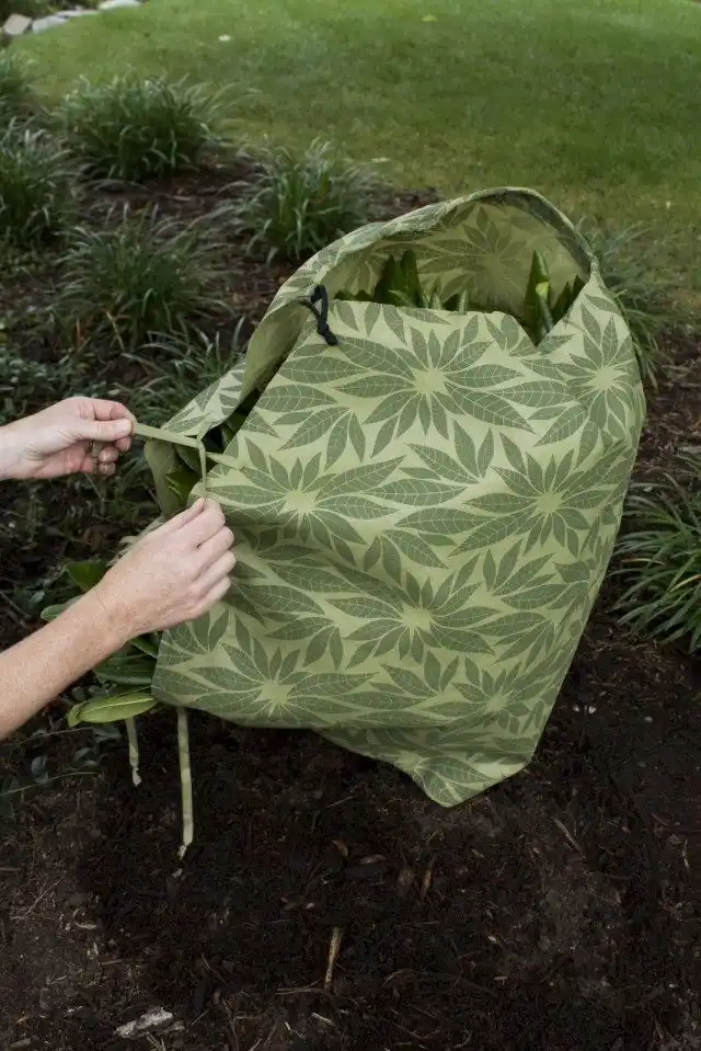 Укрытие гортензии чехлом