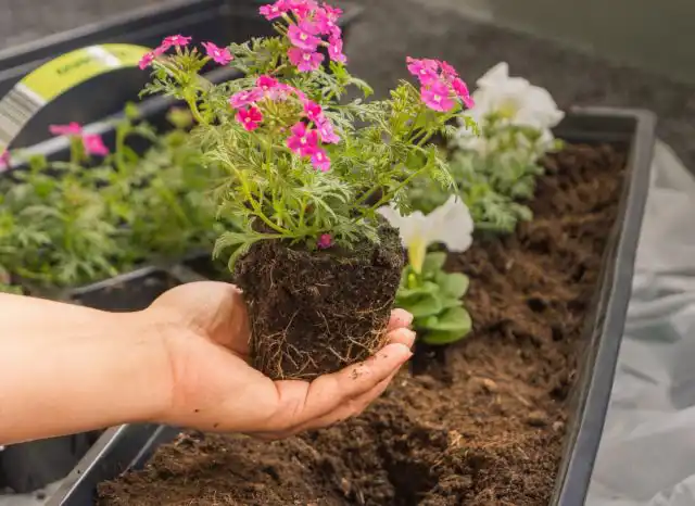 10 порад для комфортної зимівлі
