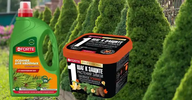 Для питания молодых деревьев и кустарников, а также для подкормки растений на достаточно плотных, трудноразмываемых грунтах хорошо подходит удобрение Хвойное лето-осень Bona Forte.