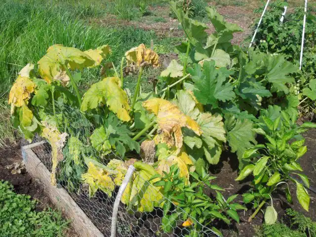 В июле работы по посеву не такие объемные, как в весенние и осенние периоды, но дел хватает.