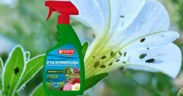 Выполняя работы по задержке снега для увлажнения почвы, не забывайте о том, что снег далеко не везде необходим, а для некоторых растений — опасен