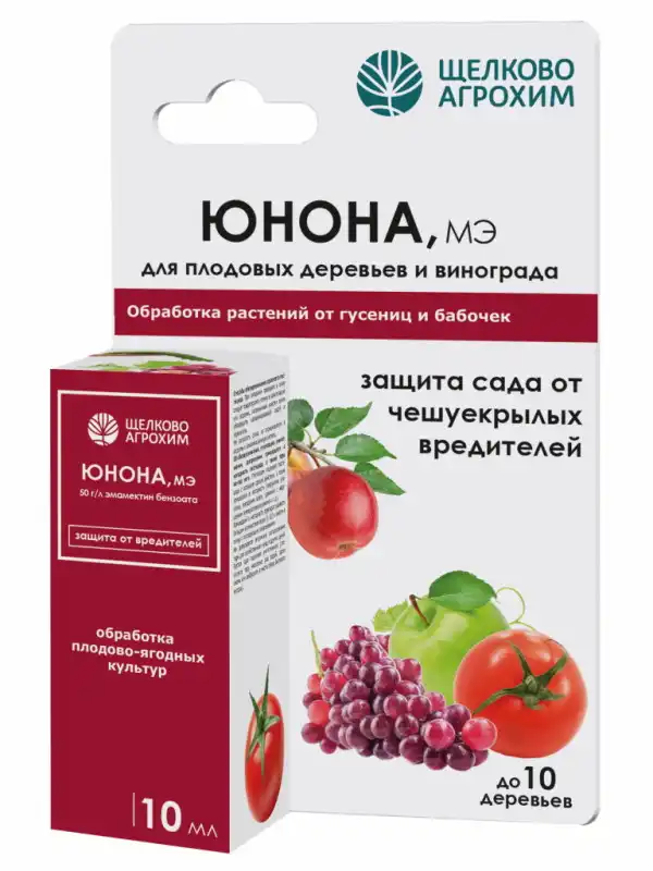 Сцевола – ідеальні кущики.