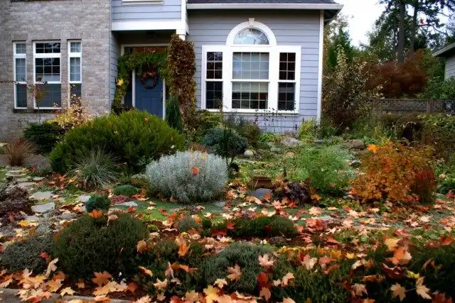 Цветник в ноябре