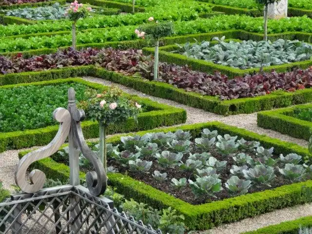 Оформление огорода в стиле барокко