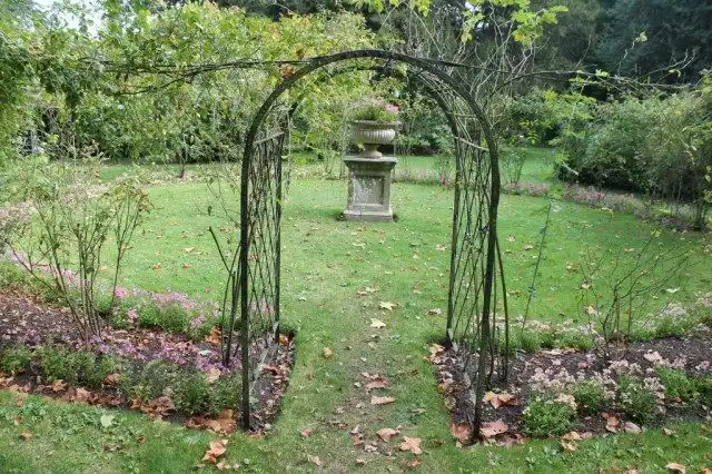 Осенний розарий, оформленный в стиле барокко