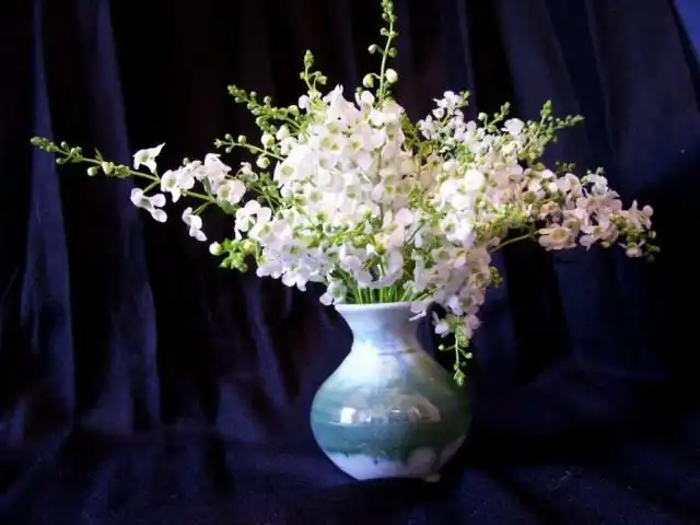 Букет Ангелонии в вазе