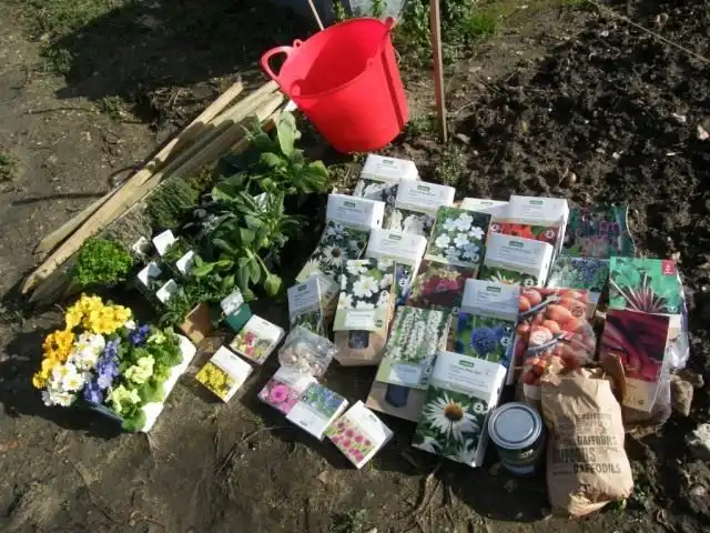 Высаживаем летники и многолетние цветы